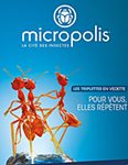 Micropolis "la cité des insectes"